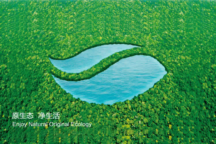 源森態(tài)標志設計,源森態(tài)畫冊設計
