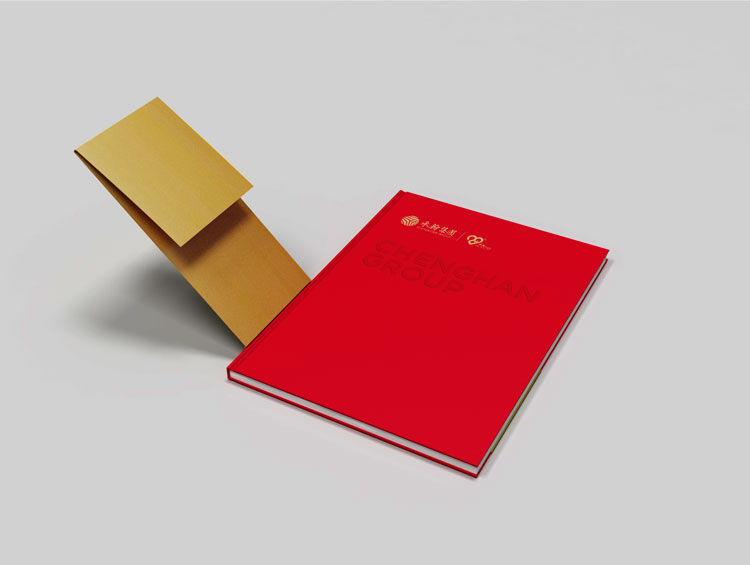 珠海畫冊(cè)設(shè)計(jì),周年慶畫冊(cè),全力設(shè)計(jì)